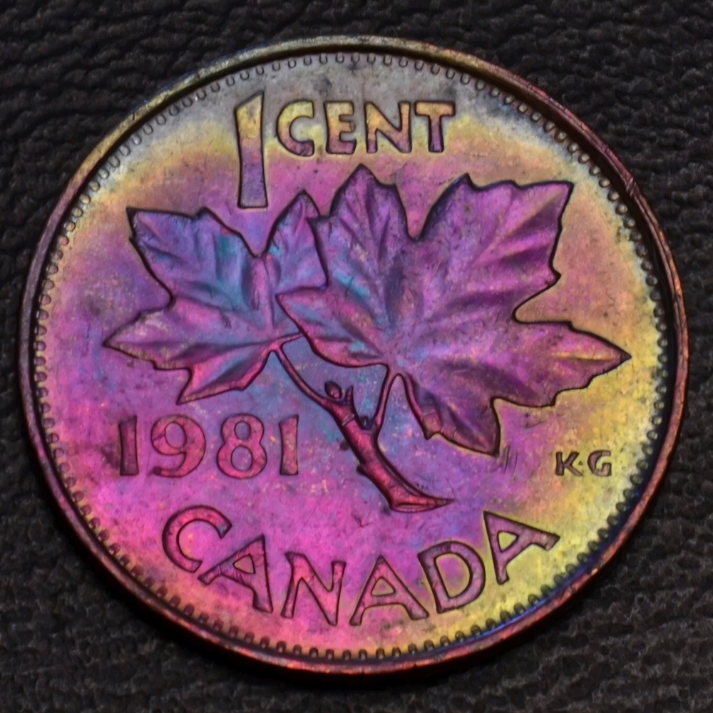 Toned 1981 Canadian Sent with Queen Elizabeth II - Picture 2 of 2